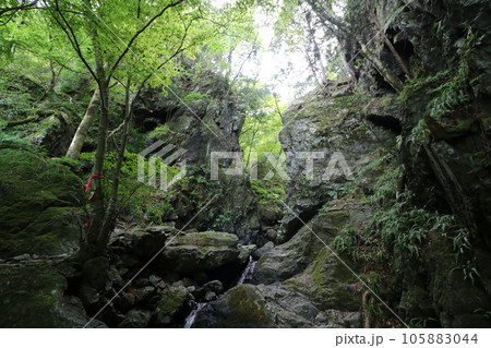 2023年8月の埼玉県飯能の棒ノ折山の登山 105883044