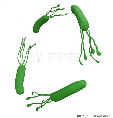 Helicobacter pylori bacteria 3d render realistic frame with place for text. isolated with clipping path. Microbiology health human illustration 105883081