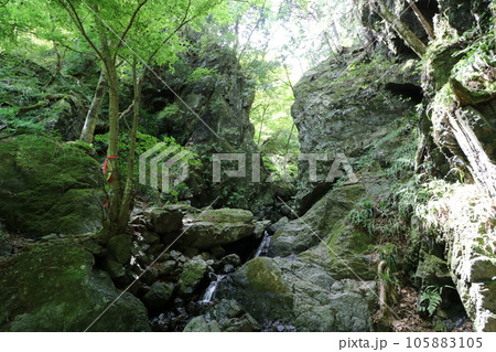 2023年8月の埼玉県飯能の棒ノ折山の登山 2023年8月の埼玉県飯能の棒ノ折山の登山 105883105