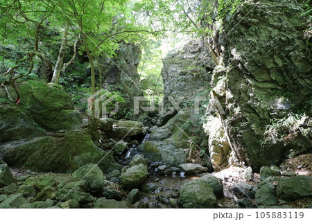2023年8月の埼玉県飯能の棒ノ折山の登山 2023年8月の埼玉県飯能の棒ノ折山の登山 105883119