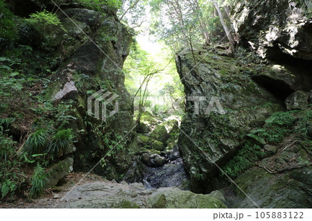 2023年8月の埼玉県飯能の棒ノ折山の登山 2023年8月の埼玉県飯能の棒ノ折山の登山 105883122