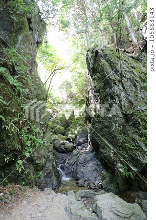 2023年8月の埼玉県飯能の棒ノ折山の登山 105883143