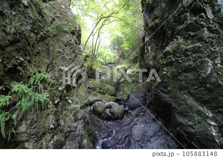 2023年8月の埼玉県飯能の棒ノ折山の登山 105883148