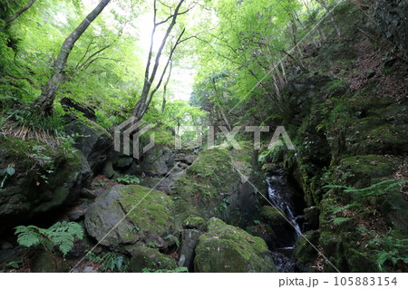 2023年8月の埼玉県飯能の棒ノ折山の登山 105883154