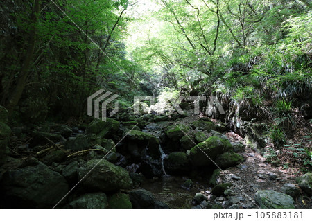 2023年8月の埼玉県飯能の棒ノ折山の登山 105883181