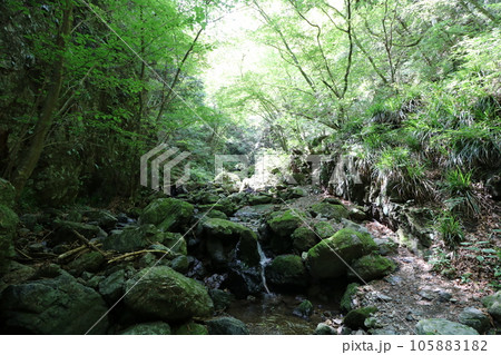 2023年8月の埼玉県飯能の棒ノ折山の登山 105883182