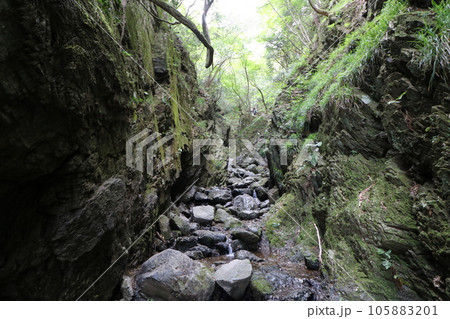 2023年8月の埼玉県飯能の棒ノ折山の登山 105883201