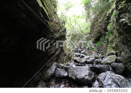 2023年8月の埼玉県飯能の棒ノ折山の登山 105883202
