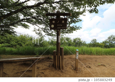 2023年8月の埼玉県飯能の棒ノ折山の登山 105883249