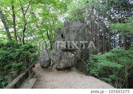 2023年8月の埼玉県飯能の棒ノ折山の登山 2023年8月の埼玉県飯能の棒ノ折山の登山 105883275