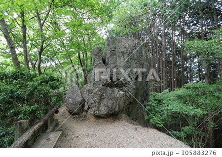 2023年8月の埼玉県飯能の棒ノ折山の登山 105883276