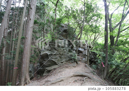 2023年8月の埼玉県飯能の棒ノ折山の登山 2023年8月の埼玉県飯能の棒ノ折山の登山 105883278