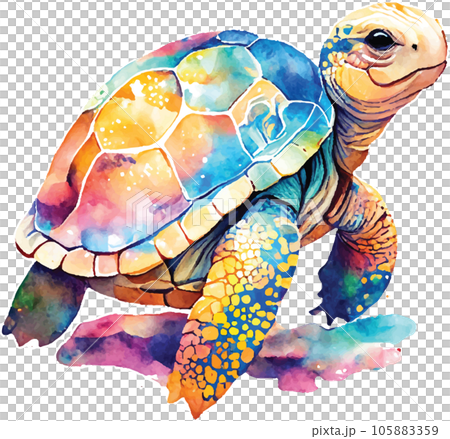 galapagos-tortoise full body watercolor clipart  105883359