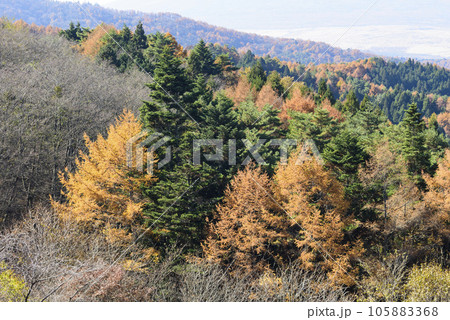 二十曲峠から見る秋の紅葉風景 105883368