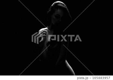 Nude Woman silhouette in the dark 105883957