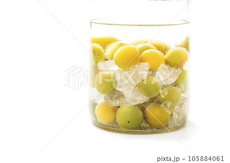 瓶に入った梅の実　手作り果実酒　青梅を漬ける作業　梅酒造り　イメージ素材 105884061