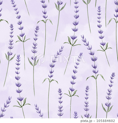 Lavender seamless Pattern on purple watercolor abstract background. Hand drawn illustration with Provence Lavandula Flowers. Botanical backdrop with wild herb for wrapping paper or textile design. 105884602