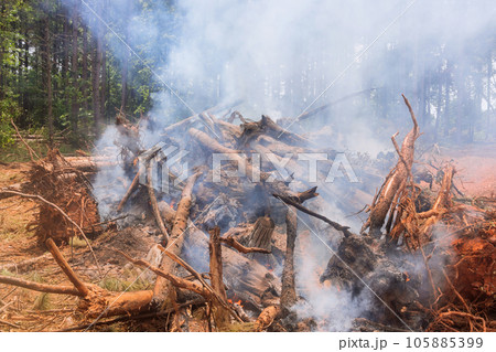 Burning uprooted trees is one of first steps in preparation land for construction Burning uprooted trees is one of first steps in preparation land for construction 105885399