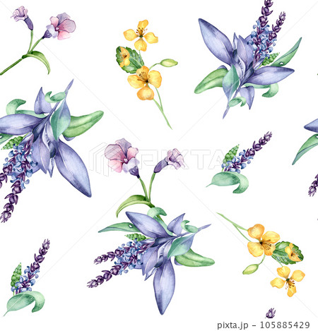 Celandine herbal plant watercolor seamless pattern isolated on white background. Salvia officinalis, lungwort, chelidonium useful herb hand drawn. Design for textile, package, wrapping, paper, fabric Celandine herbal plant watercolor seamless pattern isolated on white background. Salvia officinalis, lungwort, chelidonium useful herb hand drawn. Design for textile, package, wrapping, paper, fabric 105885429