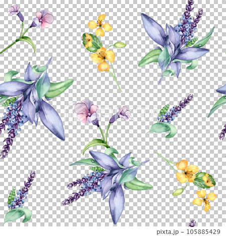 Celandine herbal plant watercolor seamless pattern isolated on white background. Salvia officinalis, lungwort, chelidonium useful herb hand drawn. Design for textile, package, wrapping, paper, fabric Celandine herbal plant watercolor seamless pattern isolated on white background. Salvia officinalis, lungwort, chelidonium useful herb hand drawn. Design for textile, package, wrapping, paper, fabric 105885429