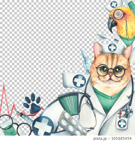 Veterinary doctors cat with parrot, medical instruments, footprints. Watercolor illustration, hand drawn, for the design of clinics, hospitals, pharmacies. Template on a white background Veterinary doctors cat with parrot, medical instruments, footprints. Watercolor illustration, hand drawn, for the design of clinics, hospitals, pharmacies. Template on a white background 105885454