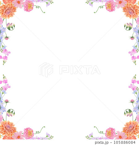 Watercolor botanical colourful frame of summer and autumn flowers: dahlia, zinnia, lathyrus, gillyflower, nasturtium. Good for wedding print products, paper, invitations, greetings, fabric, posters 105886084