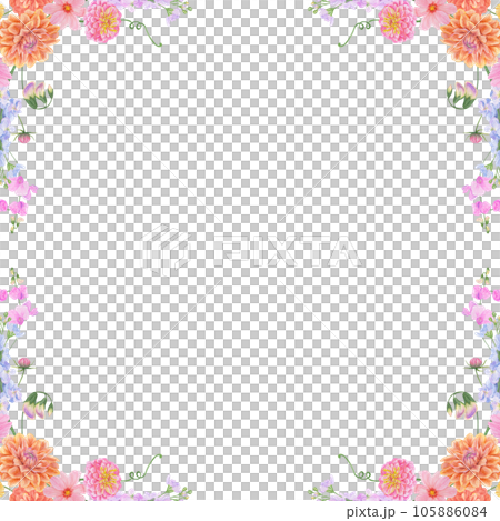 Watercolor botanical colourful frame of summer and autumn flowers: dahlia, zinnia, lathyrus, gillyflower, nasturtium. Good for wedding print products, paper, invitations, greetings, fabric, posters 105886084