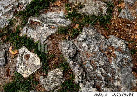 natural stone path texture in the park natural stone path texture in the park 105886092