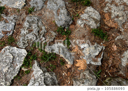 natural stone path texture in the park natural stone path texture in the park 105886093