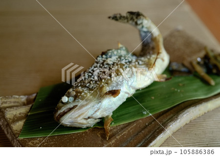 炭火で焼きあげたヤマメ　川魚　焼き魚 105886386