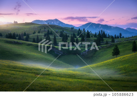 Beautiful mountain valley with green hills and meadows in fog 105886623