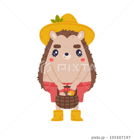 Cute Hedgehog Character in Hat and Shorts Hold Basket with Mushroom Vector Illustration 105887197