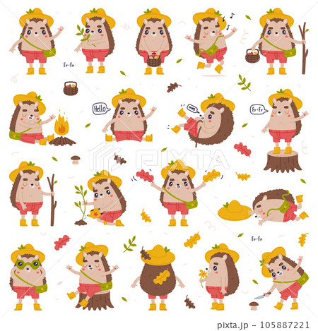 Cute Hedgehog Character in Hat and Shorts Engaged in Different Activity Vector Set Cute Hedgehog Character in Hat and Shorts Engaged in Different Activity Vector Set 105887221