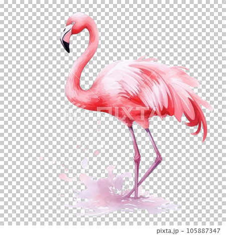 Watercolor pink flamingo isolated 105887347