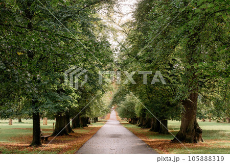 Calm Fall Season. Beautiful Landscape With Road In Autumn Forest. Maples And Birch Trees With Green, Yellow And Orange Leaves And Footpath In The Woodland In Sunny Day Calm Fall Season. Beautiful Landscape With Road In Autumn Forest. Maples And Birch Trees With Green, Yellow And Orange Leaves And Footpath In The Woodland In Sunny Day 105888319