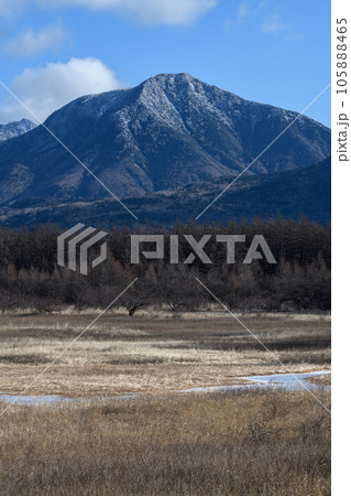 小田代ヶ原から見た大真名子山 105888465