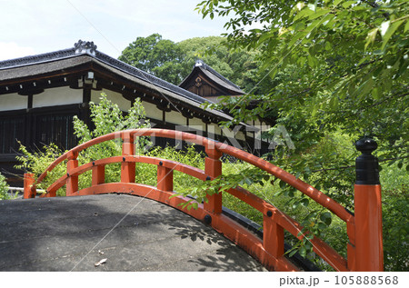 下鴨神社 輪橋と本殿 京都市左京区 下鴨神社 輪橋と本殿 京都市左京区 105888568