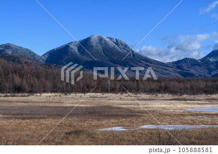 朝の小田代ヶ原から見た太郎山 105888581