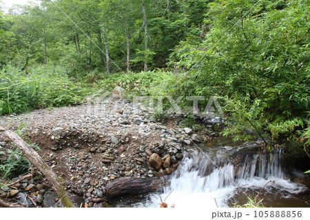 群馬県奥利根水源の森清流 群馬県奥利根水源の森清流 105888856