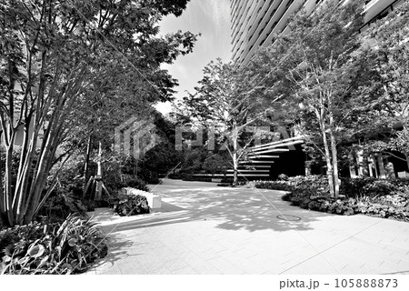 東京　東京都再開発複合施設の虎ノ門ヒルズ森タワーなど超高層ビルの風景 モノクローム 105888873