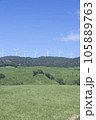 稲取細野高原　撮影日2022年7月 105889763