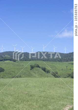 稲取細野高原 撮影日2022年7月 稲取細野高原 撮影日2022年7月 105889763