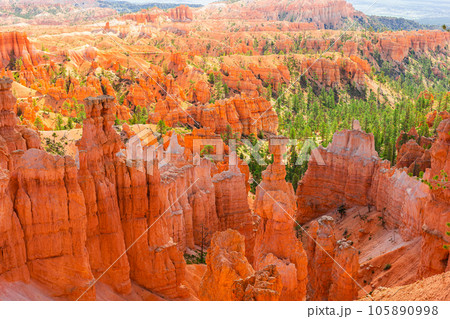 Amazing nature with beautiful hoodoos, pinnacles and spires rock formations including famous Thor's Hammer in Utah, United States. 105890998