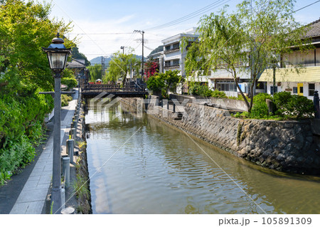 静岡県下田市 あじさい祭シーズンのペリーロード 静岡県下田市 あじさい祭シーズンのペリーロード 105891309