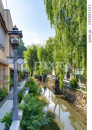 静岡県下田市　あじさい祭シーズンのペリーロード 105891321