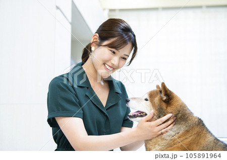 若い女性と柴犬 105891964