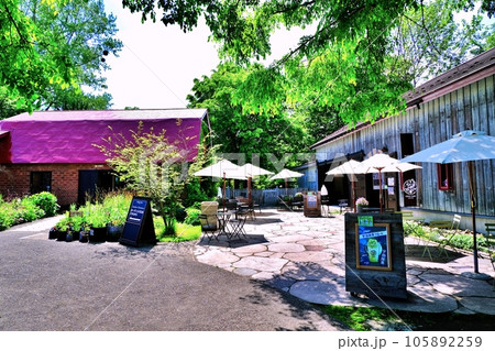 上野ファーム入口のカフェ 105892259