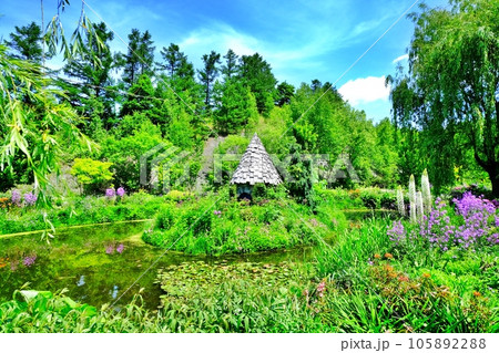 上野ファームの風景　(北海道旭川市) 105892288