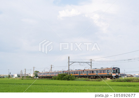 【関西本線】白鳥信号所を発車する快速みえ 105892677