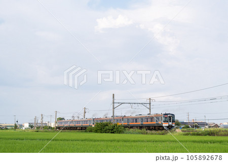 【関西本線】白鳥信号所を発車する快速みえ 105892678